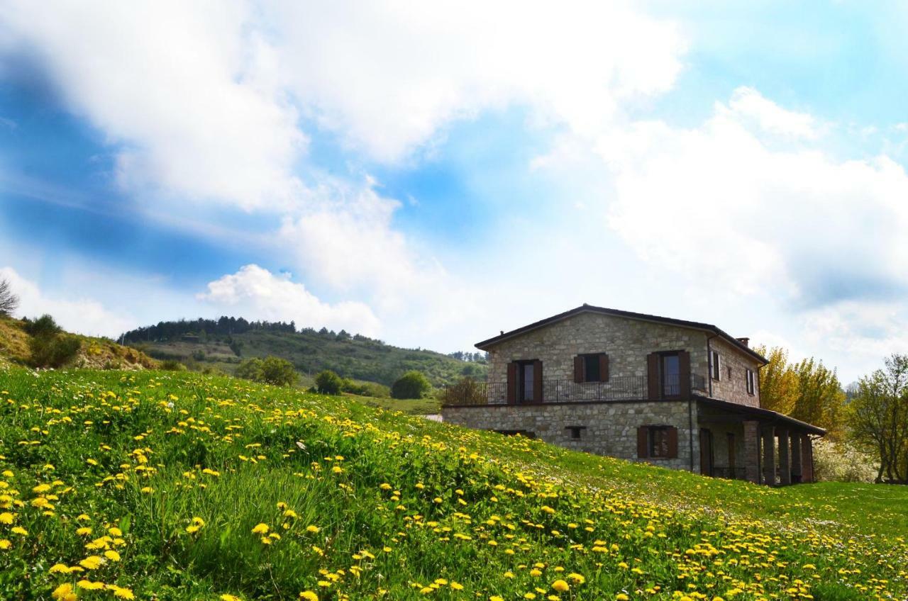 Sasso Feltrio Fattoria Bio L'A Ceccoli 빌라 외부 사진